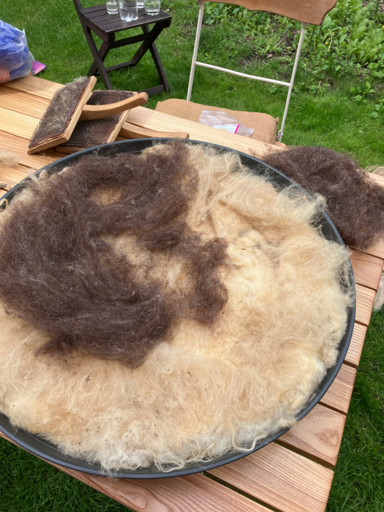 Schafwolle wird gekämmt