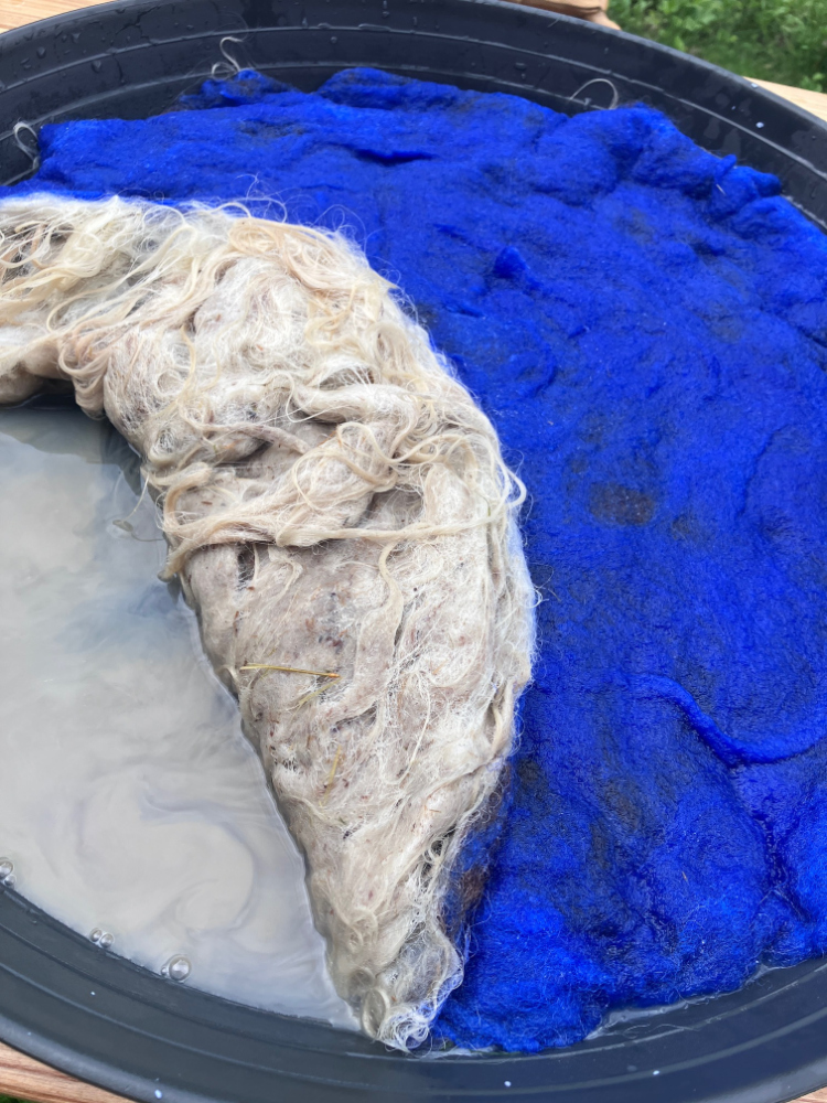 Schafwolle wird in Lauge gefilzt und die Unterseite des Kissens blau gefärbt