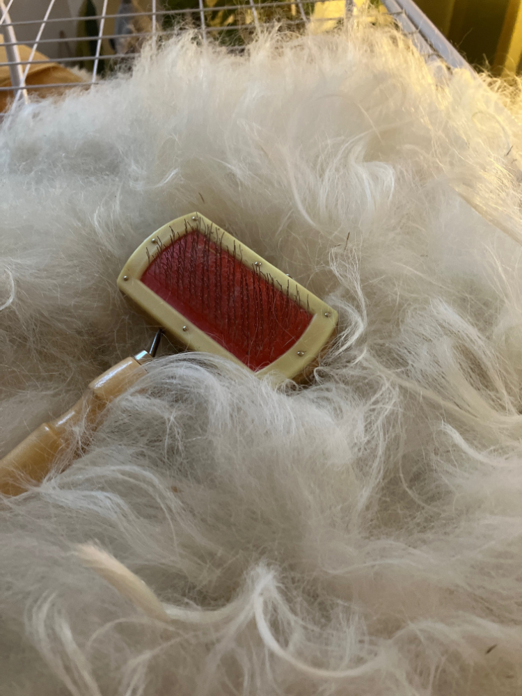 Die Oberseite des Kissens wird schön flauschig ausgekämmt