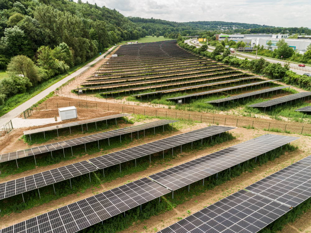 Ansicht Solarpark Traufwiesen von hinten, man sieht Höhen und Abstände der Modulreihen