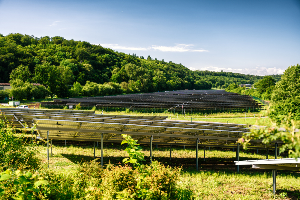 Ansicht Solarpark Traufwiesen von hinten, man sieht Höhen und Abstände der Modulreihen