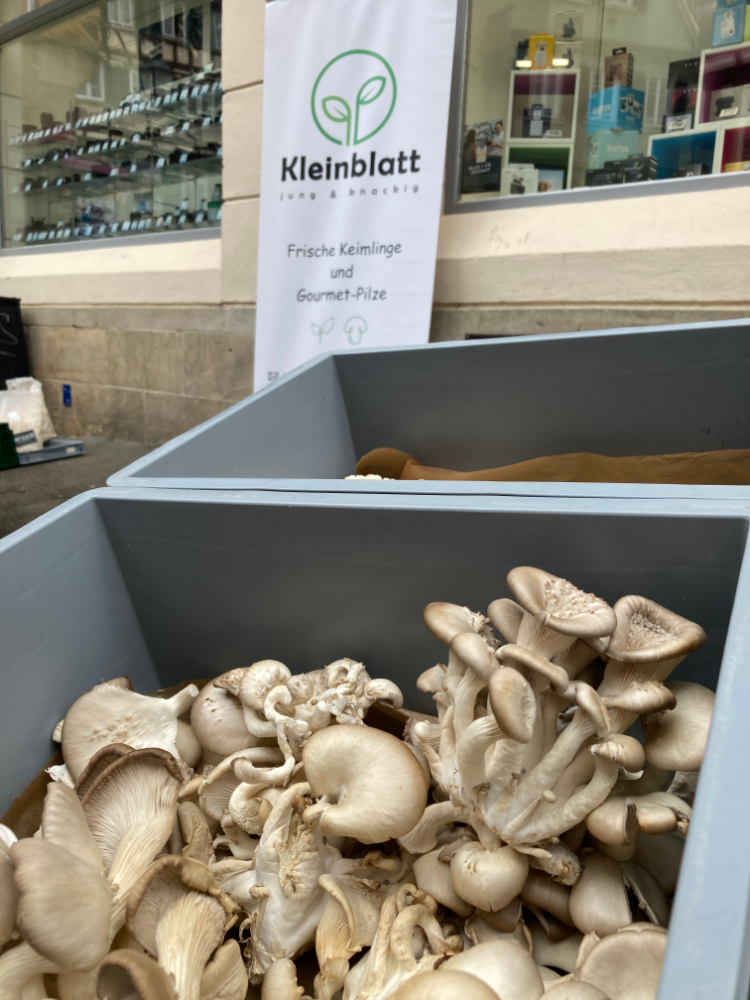 Marktstand von Kleinblatt mit Pilzen
