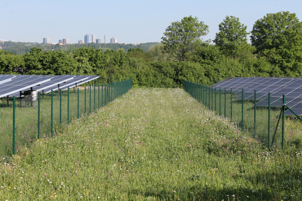 Maschendrahtzaun zwischen den Reihen des Solarparks