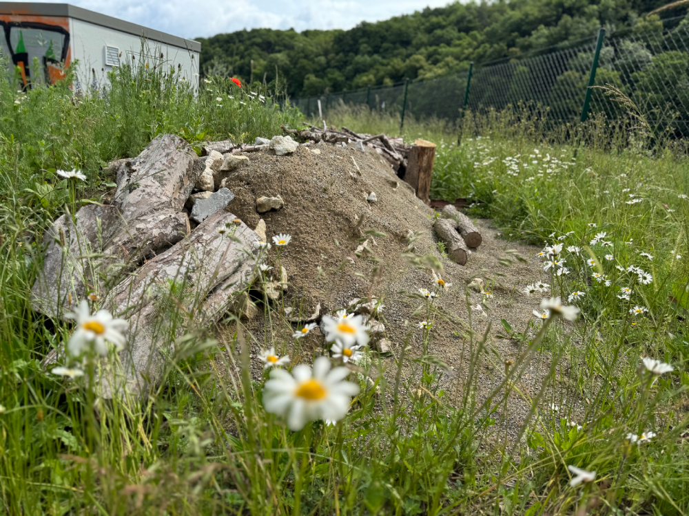 Sandarium und Totholzstapel im Solarpark als Schutzraum und Brutplatz für Kleintiere, Insekten und Reptilien.