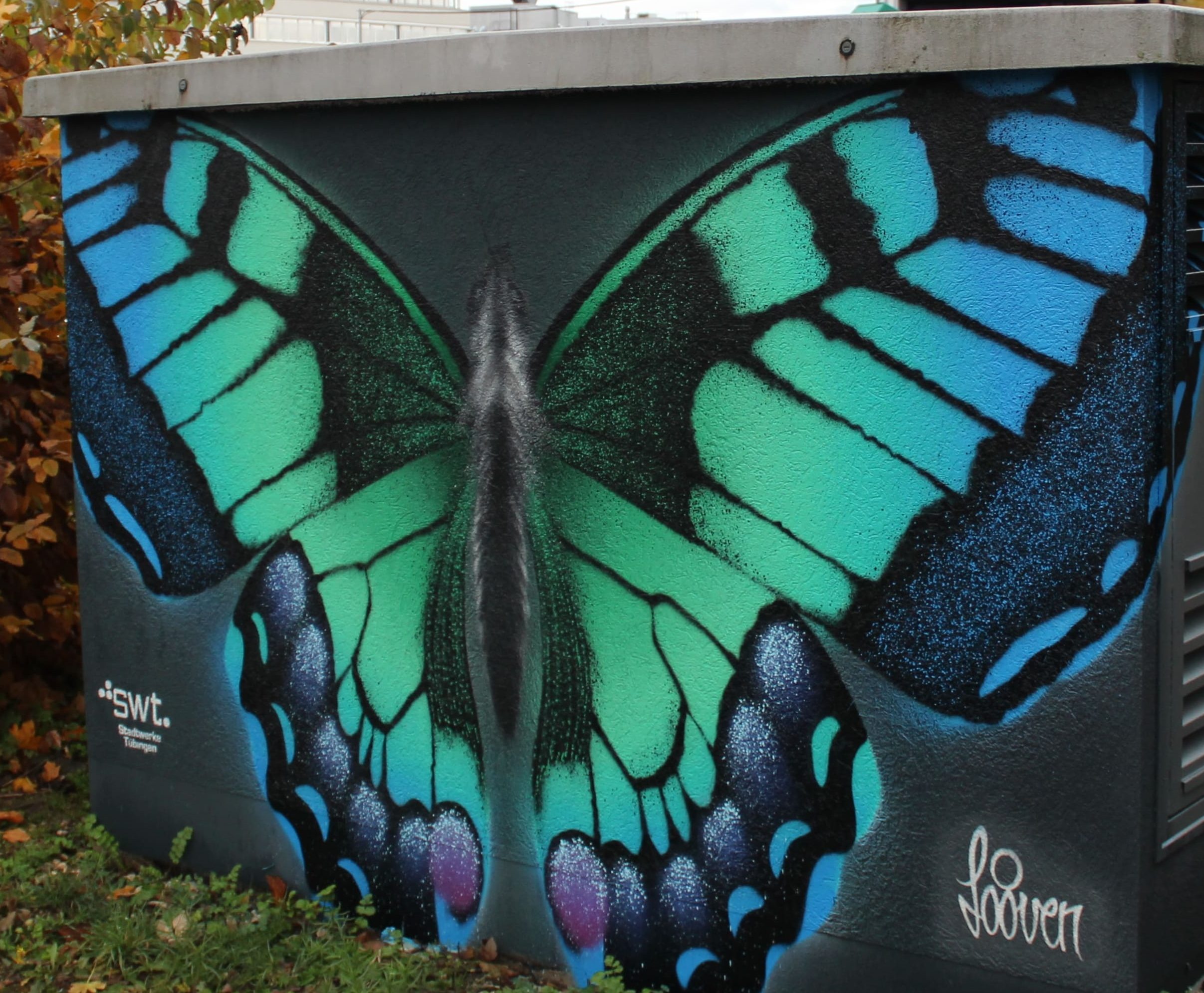 Schmetterling auf Trafostation
