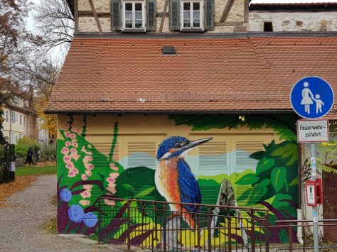 Streetart Eisvogel an Trafostation a