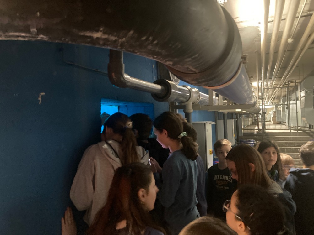 ZiSch-Klasse im Technik-Keller des Hallenbads Nord, beim Blick durchs Fenster ins große Becken